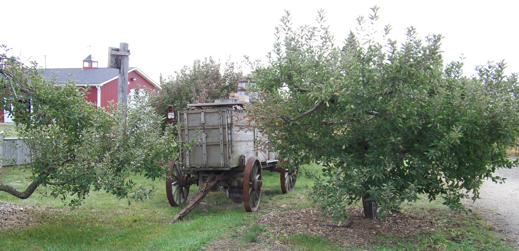 Fun Fall Activities Article